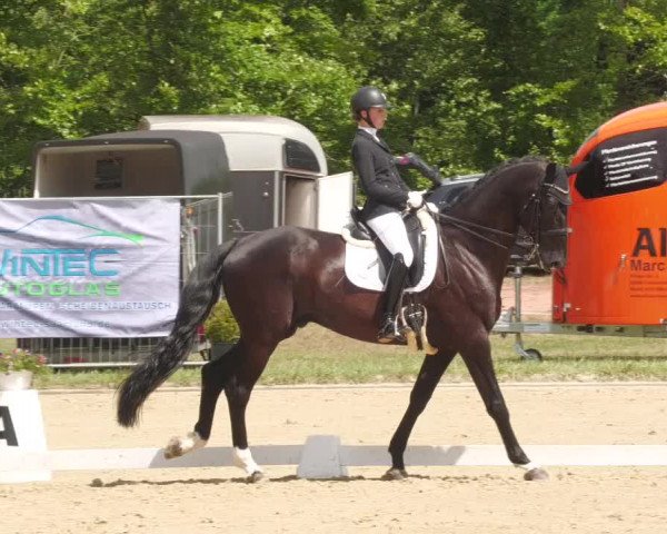 Reitturnier Heiligenwald 2022