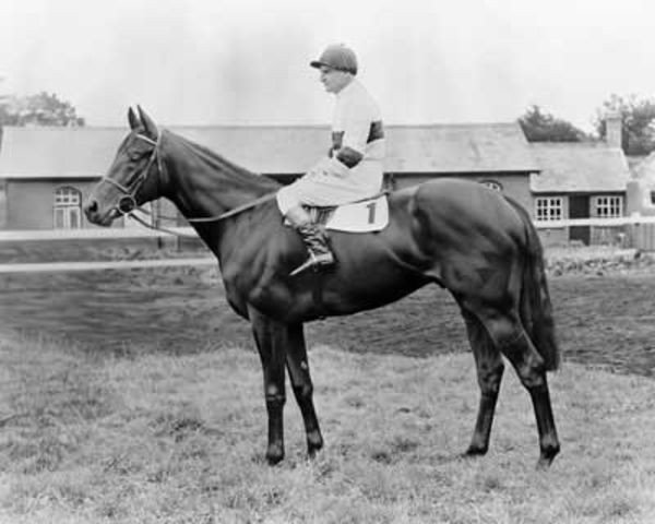 stallion Hethersett xx (Thoroughbred, 1959, from Hugh Lupus xx)