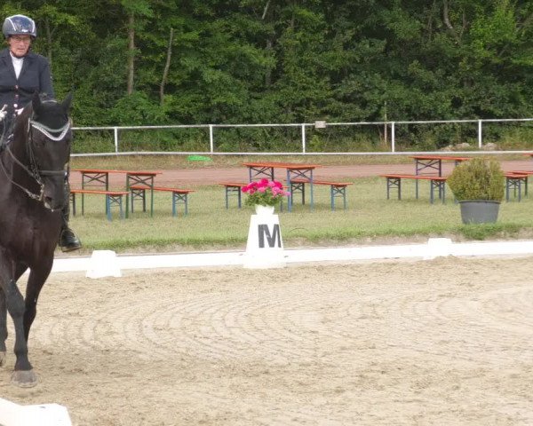 Reitturnier Heiligenwald 2022