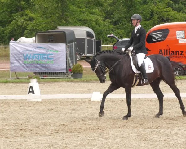 Reitturnier Heiligenwald 2022