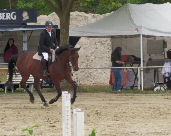 Reitturnier Heiligenwald 2022
