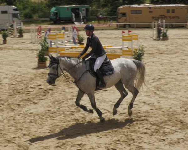 Reitturnier Heiligenwald 2022