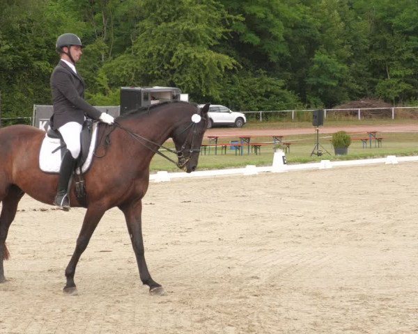 Reitturnier Heiligenwald 2022