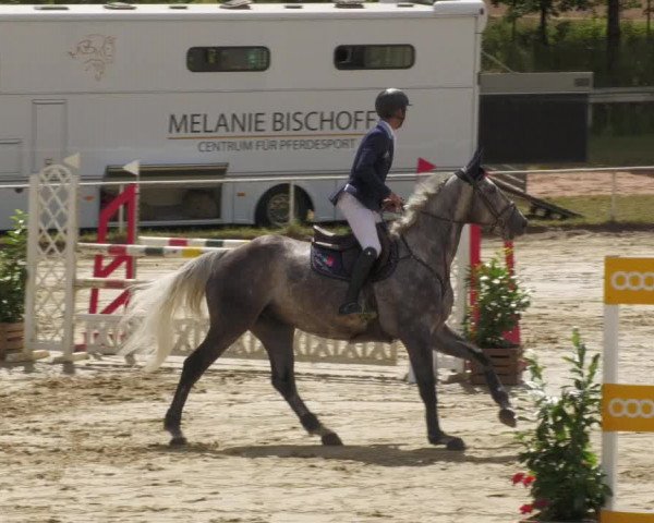 Reitturnier Heiligenwald 2022