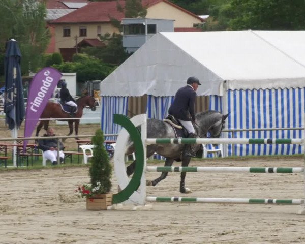 Reitturnier Heiligenwald 2022