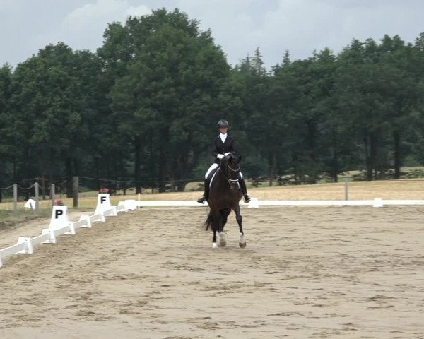 Reitturnier Wohlesbostel 2022