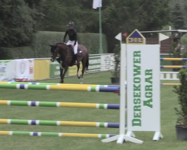 Reitturnier Dersekow 2022