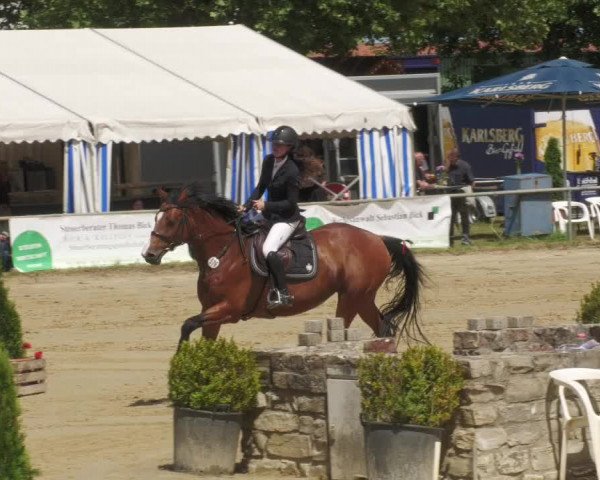 Reitturnier Heiligenwald 2022