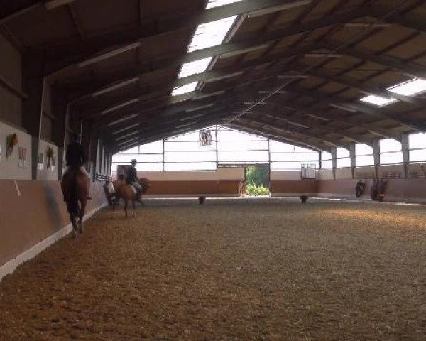 dressage horse Respiro (Westphalian, 2005, from Ravallo 115 FIN)