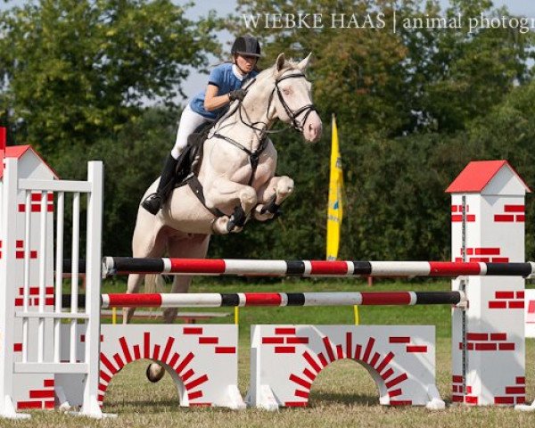 stallion Creme de la Creme (Hungarian Warmblood, 2006, from Noe)