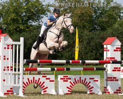 stallion Creme de la Creme (Hungarian Warmblood, 2006, from Noe)
