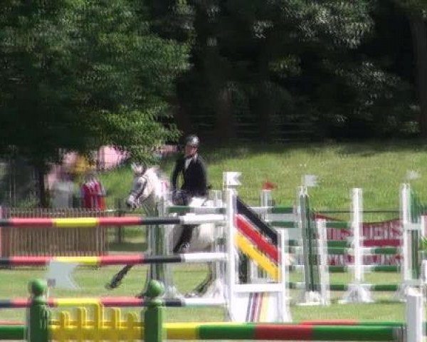 jumper Ladykracher 22 (German Sport Horse, 2004, from Livello)