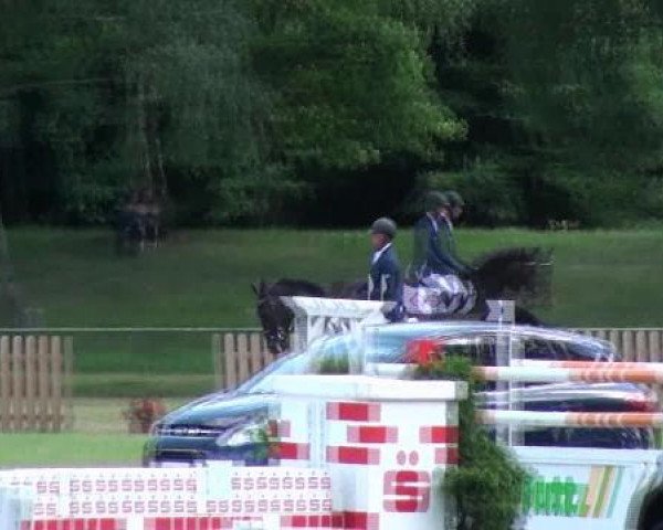 broodmare Shirin M (Hanoverian, 2005, from Stakkato)