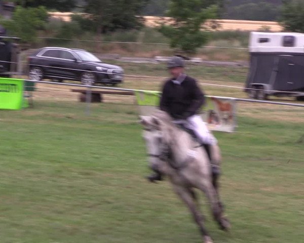 Reitturnier Ihleburg 2022