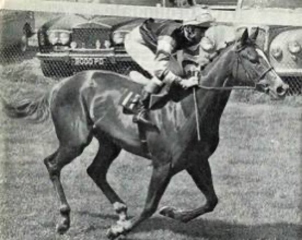 broodmare Cawston's Pride xx (Thoroughbred, 1968, from Con Brio II xx)