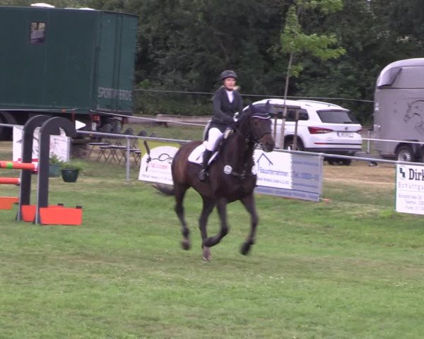 Reitturnier Ihleburg 2022