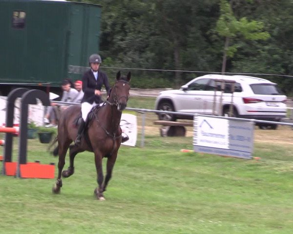 Reitturnier Ihleburg 2022