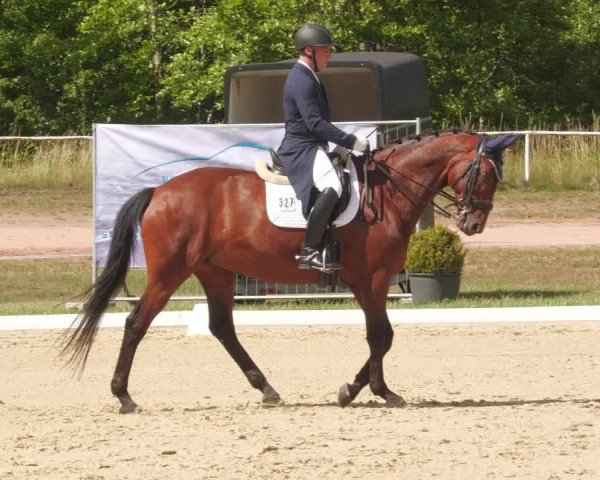 Reitturnier Heiligenwald 2022