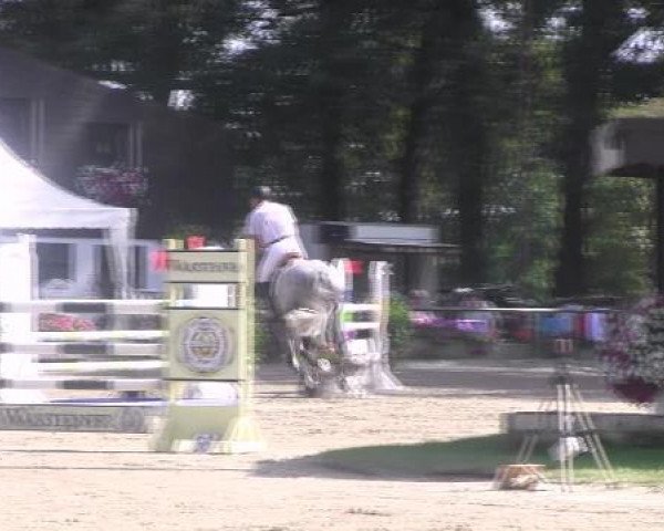 jumper Cavaro 5 (Holsteiner, 2004, from Calato)