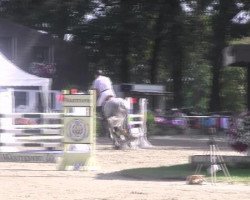 jumper Cavaro 5 (Holsteiner, 2004, from Calato)