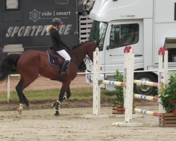 Reitturnier Heiligenwald 2022