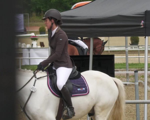 Reitturnier Heiligenwald 2022