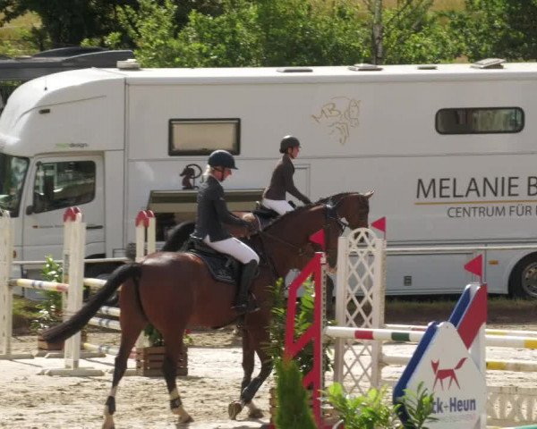 Reitturnier Heiligenwald 2022