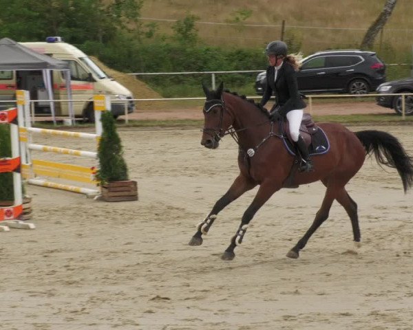 Reitturnier Heiligenwald 2022