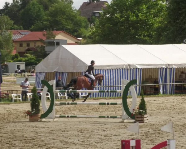 Reitturnier Heiligenwald 2022