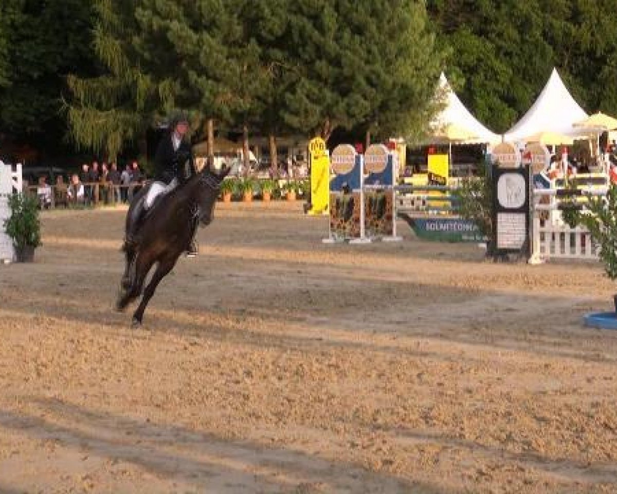 Springpferd Leonid (Westfale, 2006, von Lux Z)