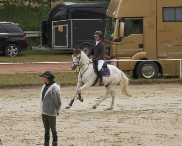 Reitturnier Heiligenwald 2022