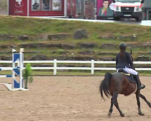 Reitturnier Kreuth/Opf. 2022