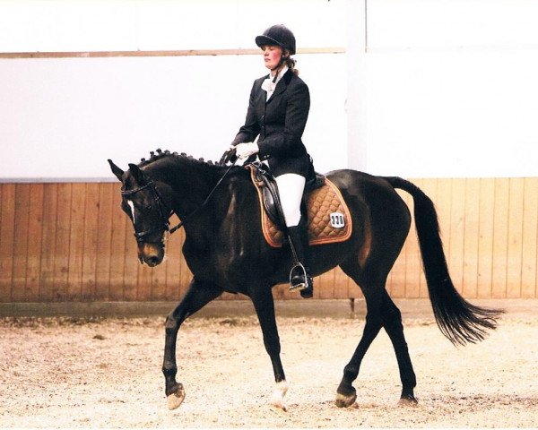 broodmare Frankenbach Prisca (Westphalian, 2001, from Pik Labionics)