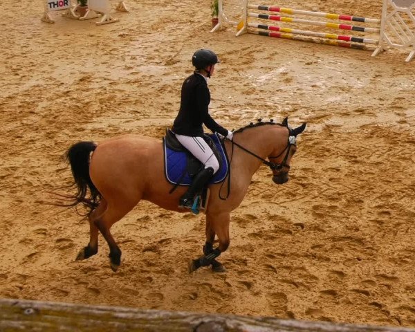 Reitturnier Uder, Reitanlage Kobold 2022
