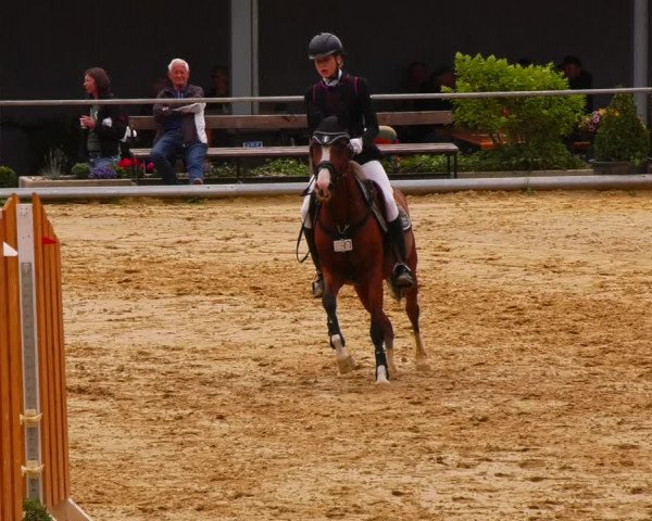 Reitturnier Uder, Reitanlage Kobold 2022