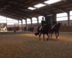 broodmare Danae R (Westphalian, 2001, from Davignon I)
