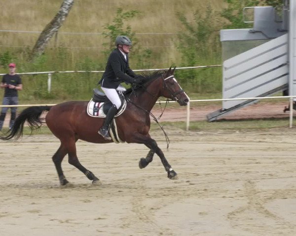 Reitturnier Heiligenwald 2022