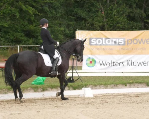 Reitturnier Heiligenwald 2022