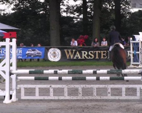 jumper Chello 3 (Holsteiner, 2004, from Chello I)