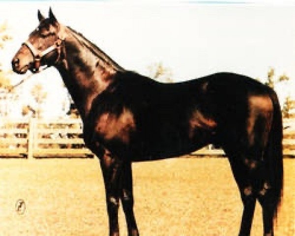 stallion Tai xx (Thoroughbred, 1976, from Buckpasser xx) stallion Tai xx (Thoroughbred, 1976, from Buckpasser xx)