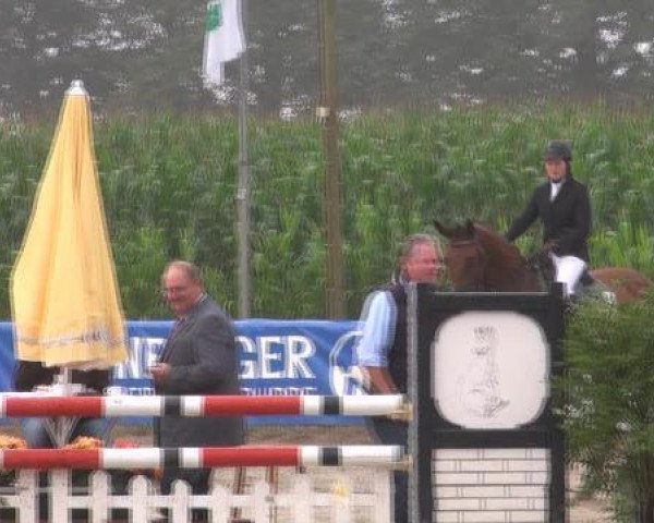 jumper Rahmannshof Bently (Belgian Warmblood, 2008, from Bentley van de Heffinck)