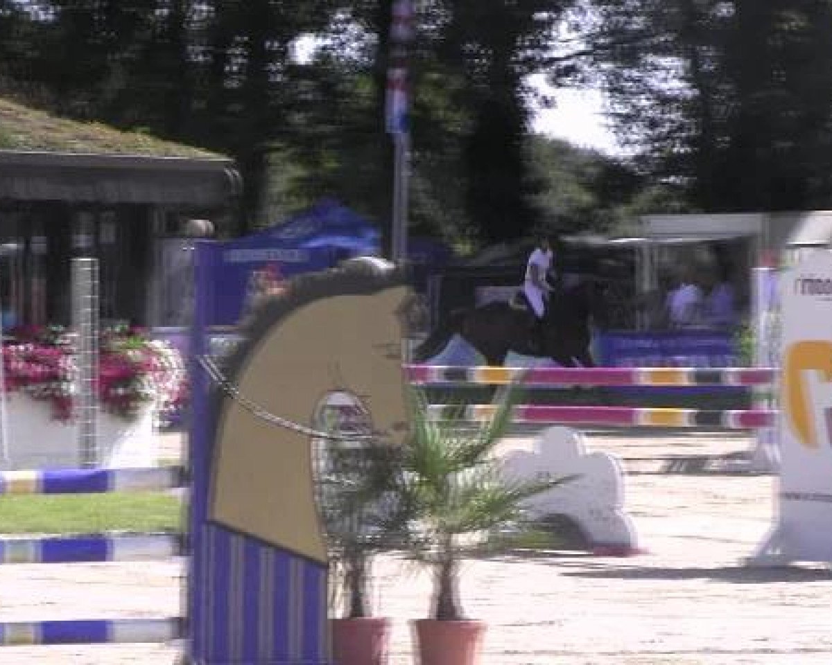 jumper Colin Vdv (KWPN (Royal Dutch Sporthorse), 2007, from Tygo)