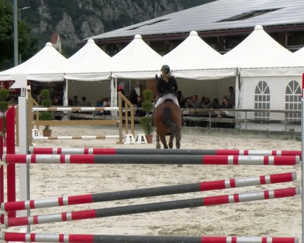 Reitturnier Balsthal 2022