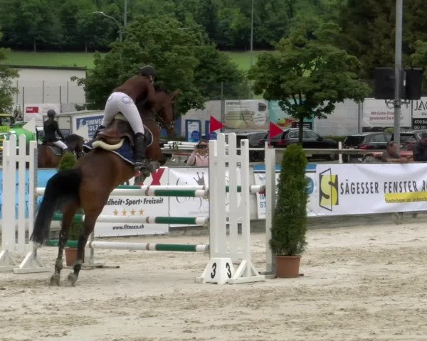 Reitturnier Balsthal 2022