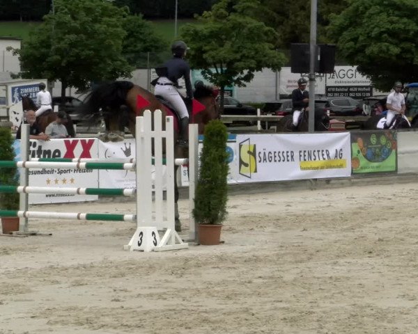 Reitturnier Balsthal 2022
