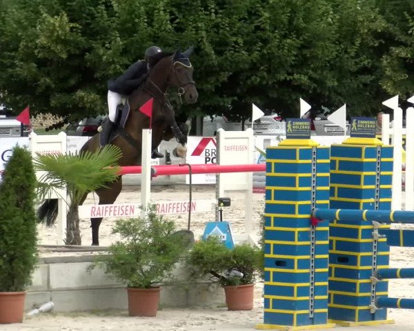 Reitturnier Balsthal 2022