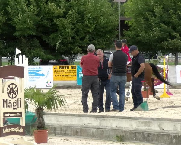 Reitturnier Balsthal 2022