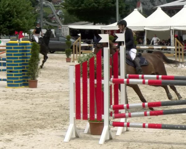 Reitturnier Balsthal 2022