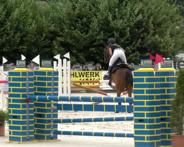 Reitturnier Balsthal 2022