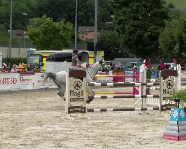 Reitturnier Balsthal 2022